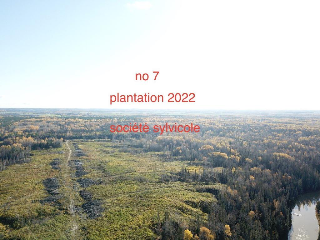 Overall view - Route 101 N., Saint-Bruno-De-Guigues, QC