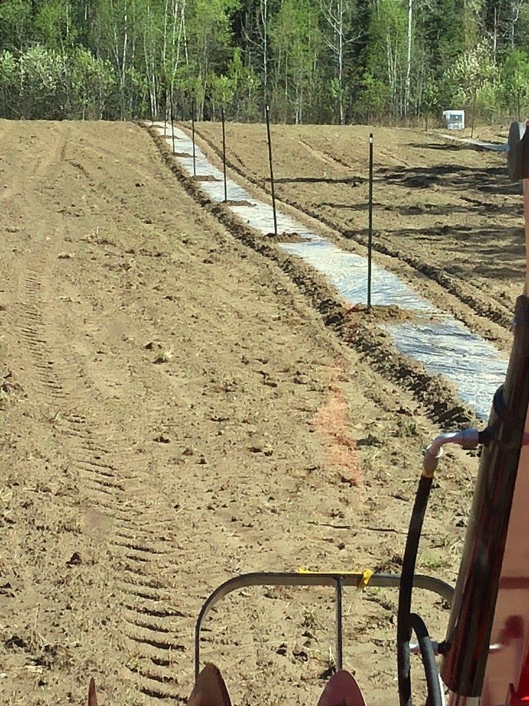 Other - Route 101 N., Saint-Bruno-De-Guigues, QC