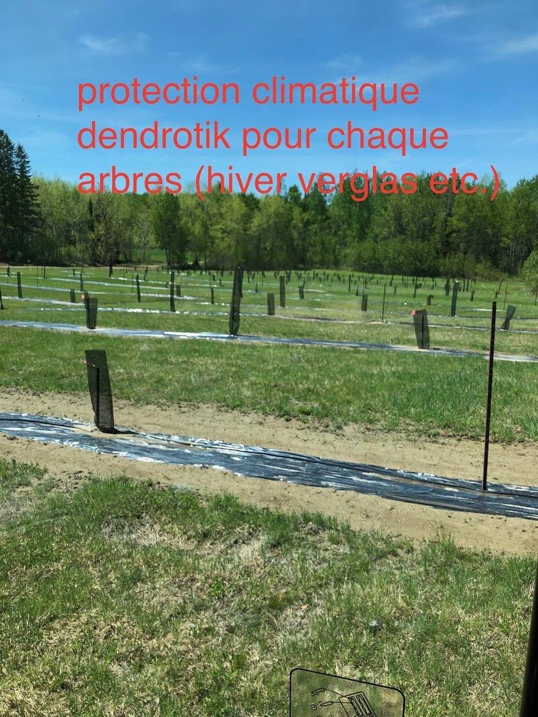 Other - Route 101 N., Saint-Bruno-De-Guigues, QC