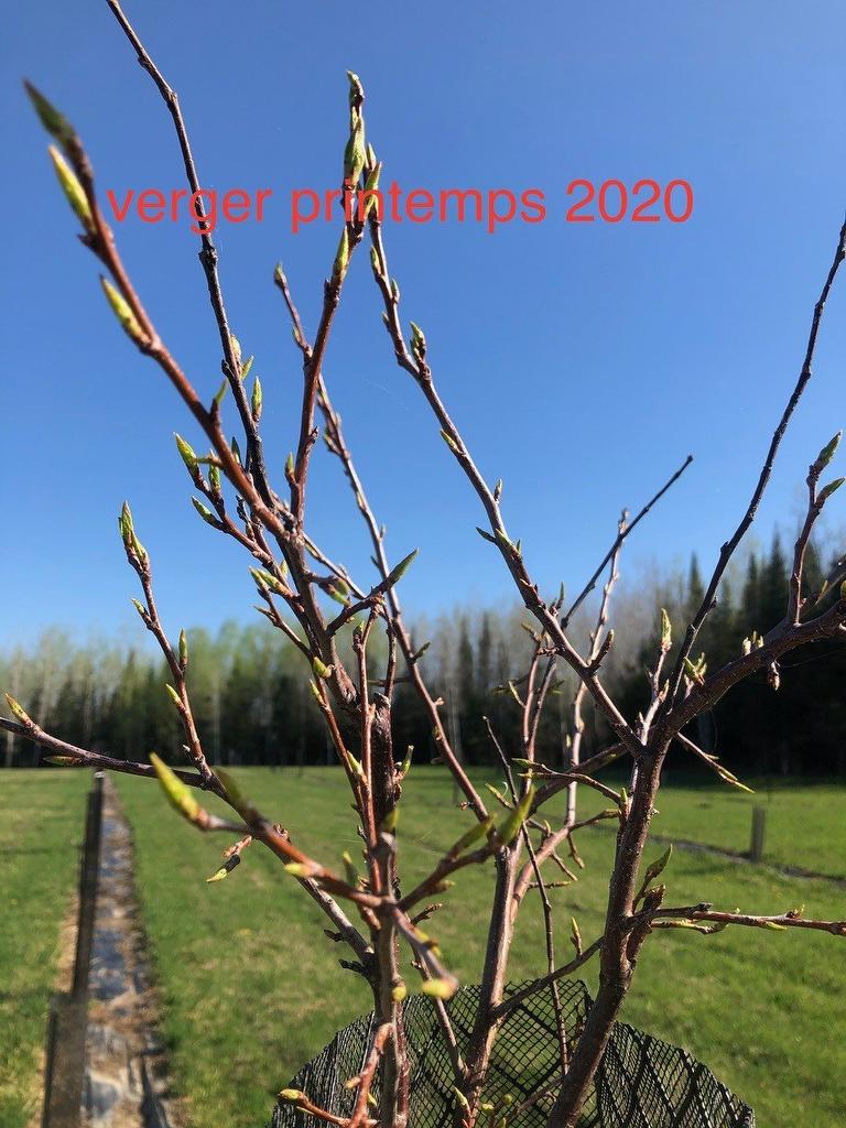 Other - Route 101 N., Saint-Bruno-De-Guigues, QC