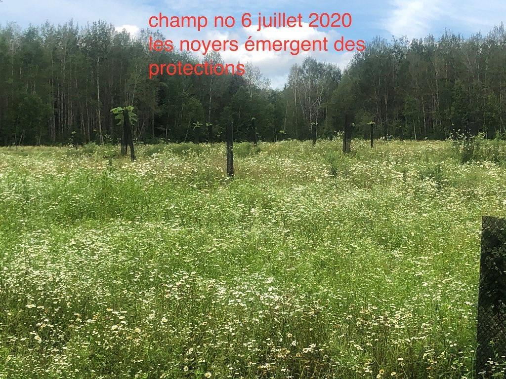 Other - Route 101 N., Saint-Bruno-De-Guigues, QC