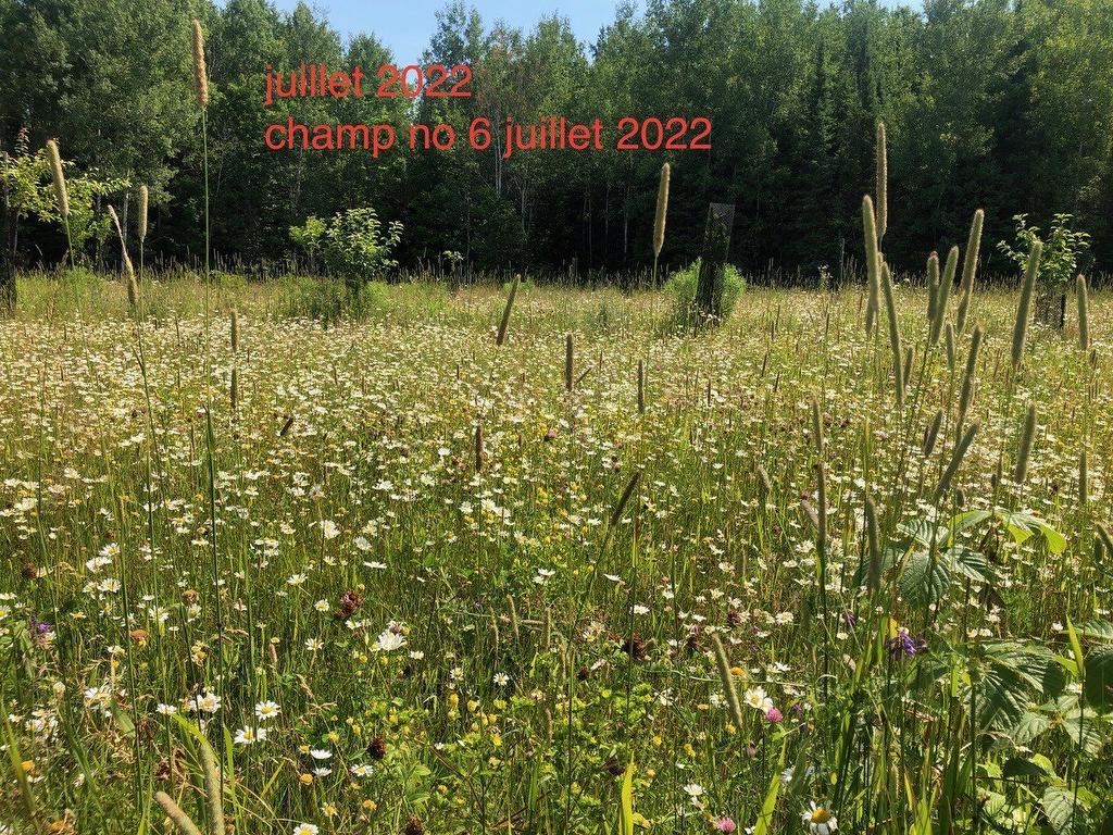 Other - Route 101 N., Saint-Bruno-De-Guigues, QC