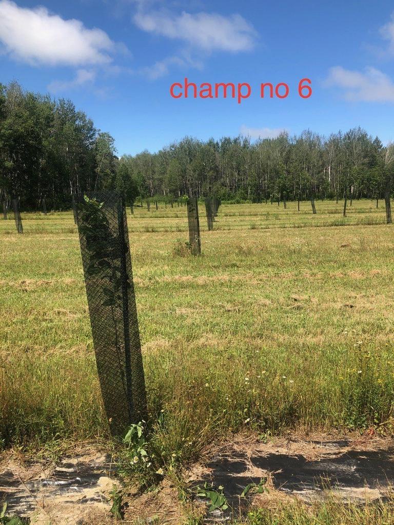 Other - Route 101 N., Saint-Bruno-De-Guigues, QC