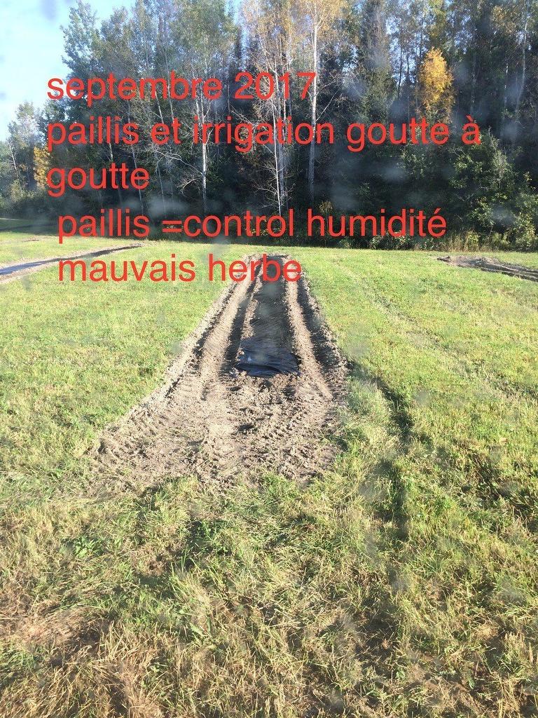 Other - Route 101 N., Saint-Bruno-De-Guigues, QC