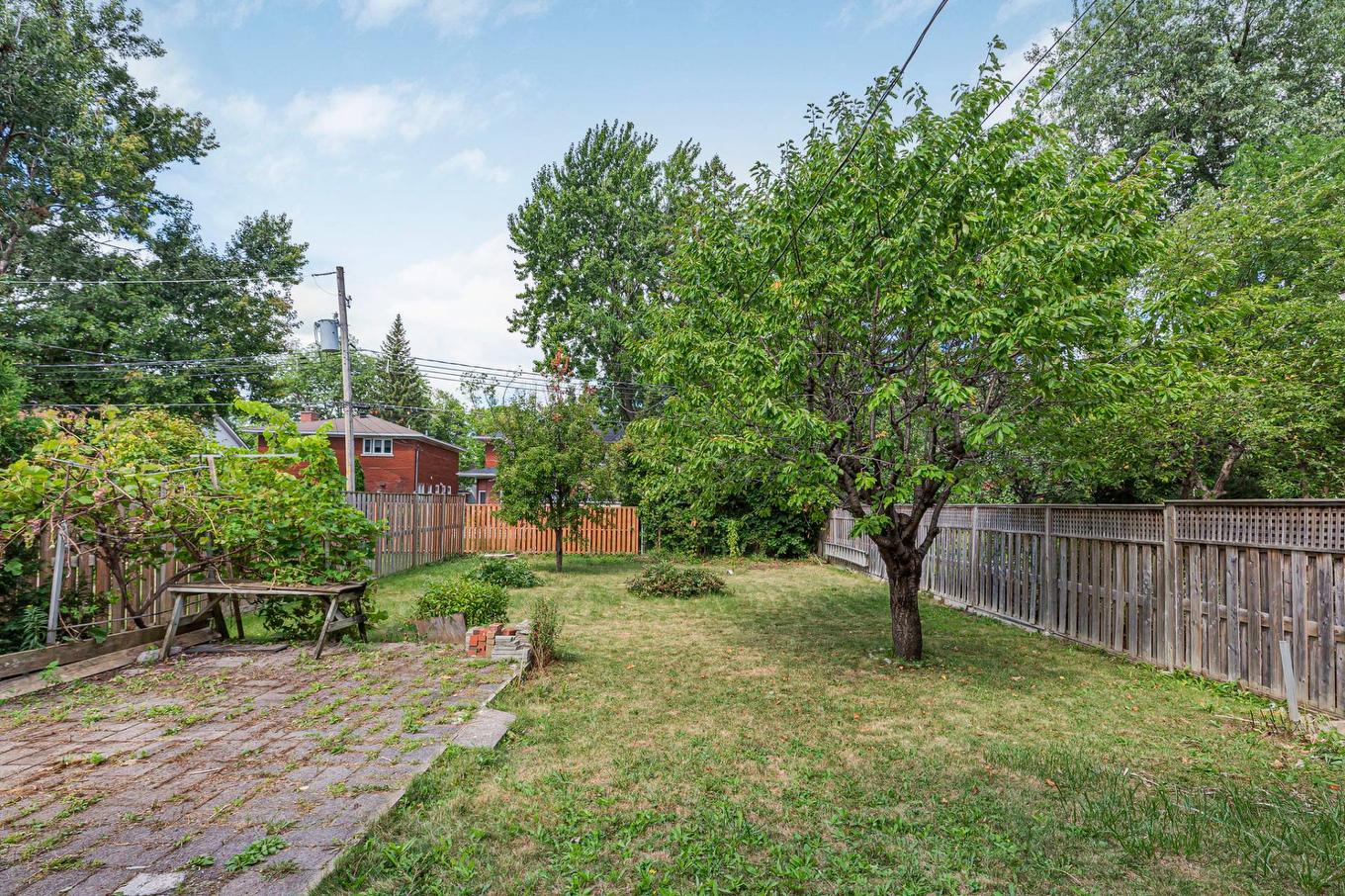 Backyard - 467 Av. Greenoch, Mont-Royal, QC - Outdoor With Backyard