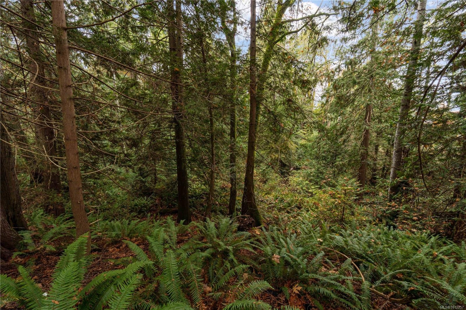 6850 Island Hwy West, Bowser, BC