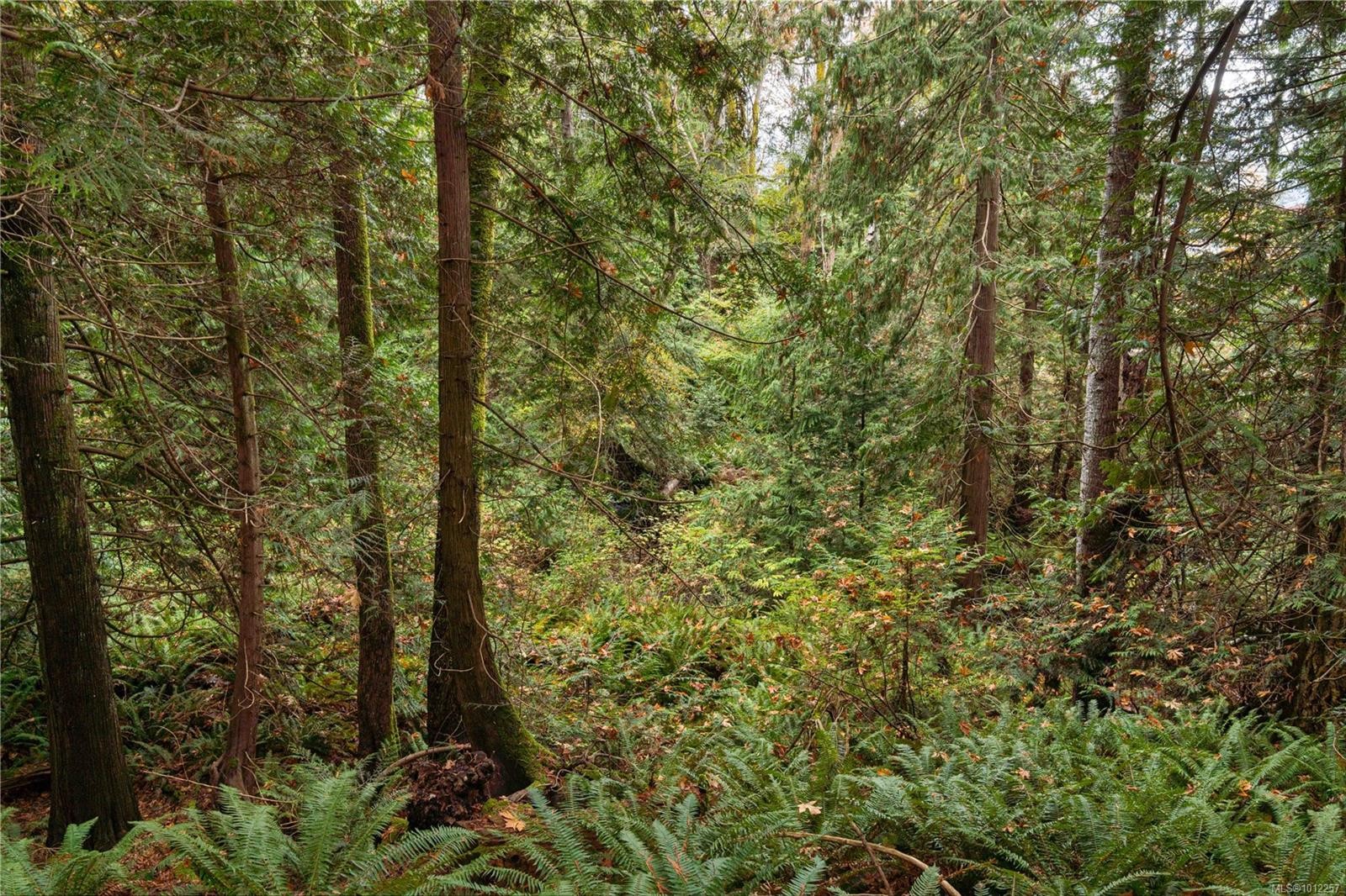 6850 Island Hwy West, Bowser, BC