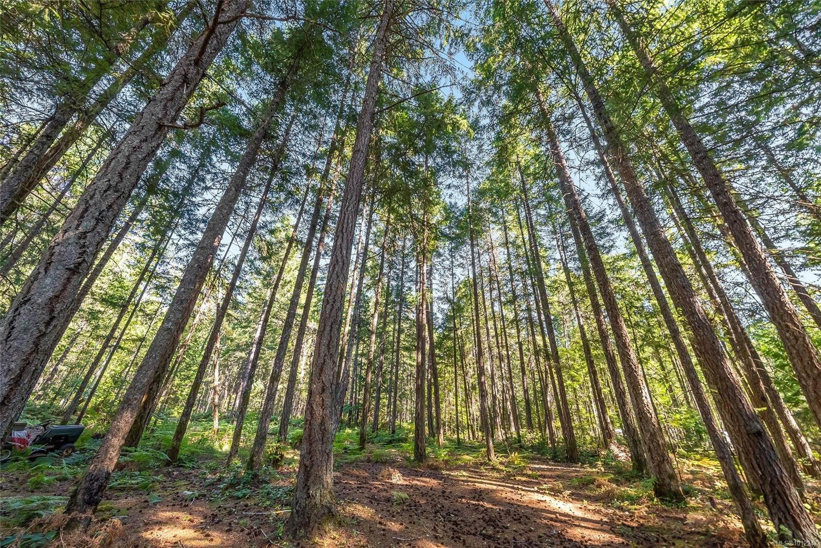 505 Baylis Rd, Qualicum Beach, BC