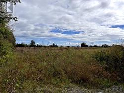 View of land from road - well can be seen. -