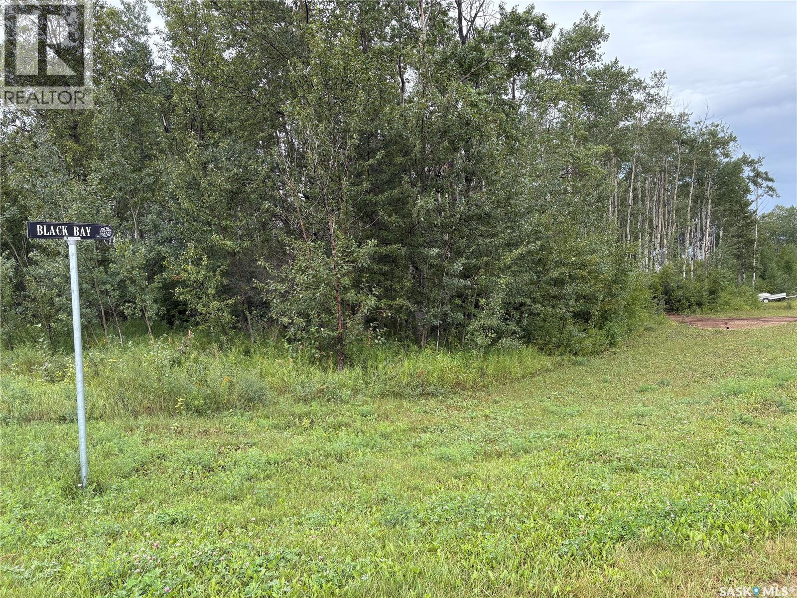 302 Black Bay, Barrier Valley Rm No. 397, SK