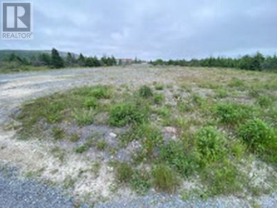 216-222 Main Highway, Victoria, NL