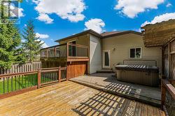 Back Deck & Patio -