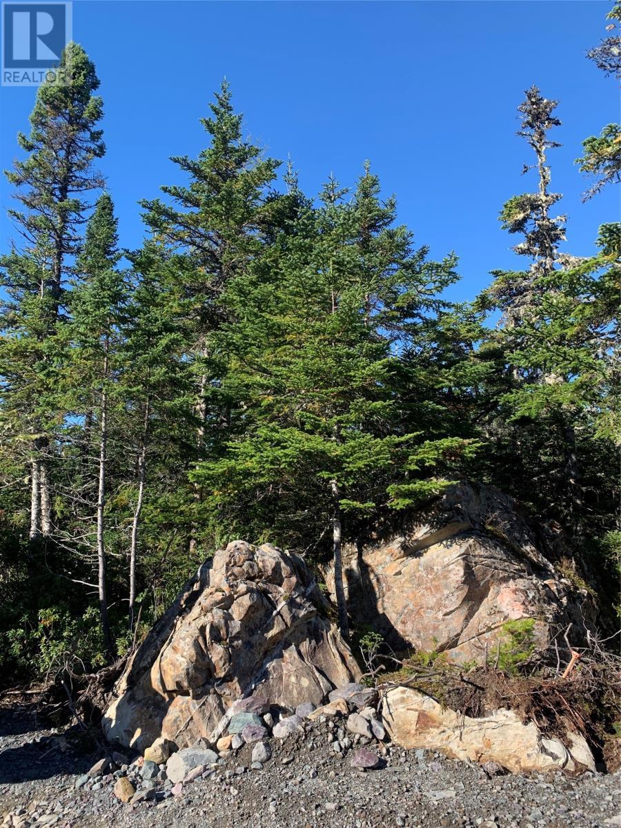 Lot 26 Halleran Trail, Brigus Junction, NL