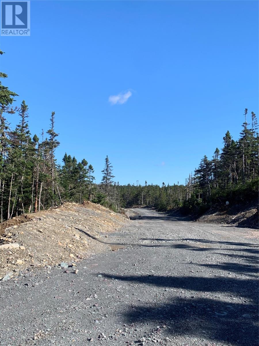 Lot 14 Halleran Trail, Brigus Junction, NL