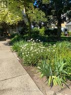 Perennial Gardens in bloom -