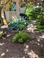 Perennial Gardens in bloom -