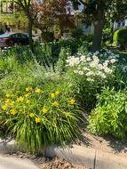 Perennial Gardens in the summer -