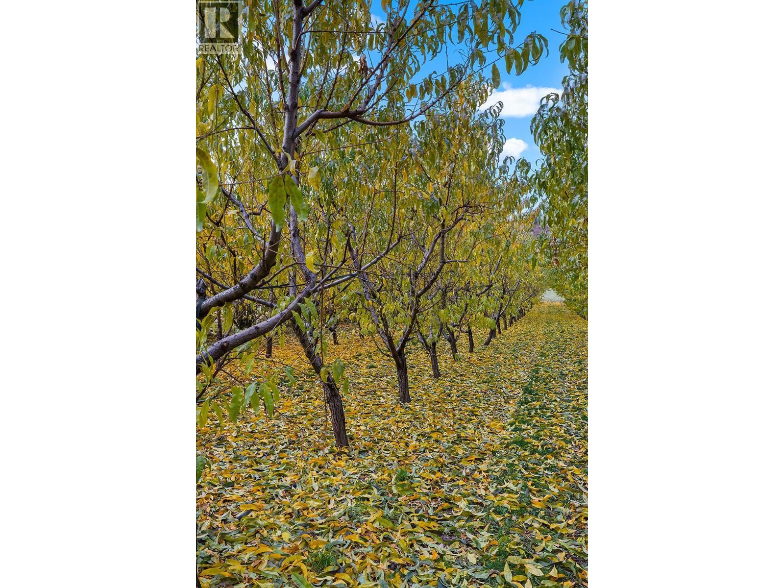 911 32Nd Avenue S, Erickson, BC