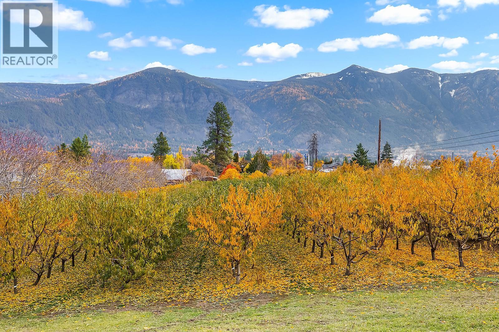 911 32Nd Avenue S, Erickson, BC