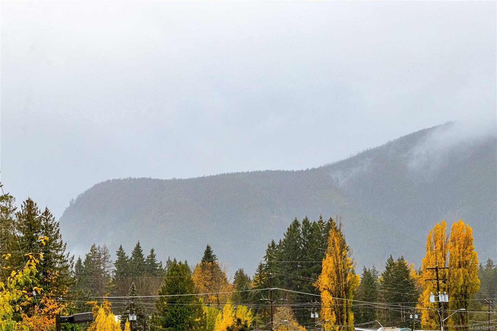 84 Lakeview Ave, Lake Cowichan, BC