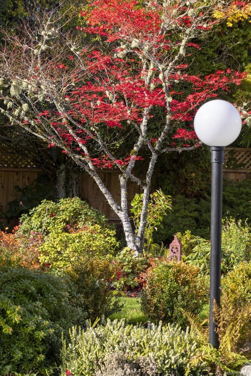 41 Tovey Cres, View Royal, BC