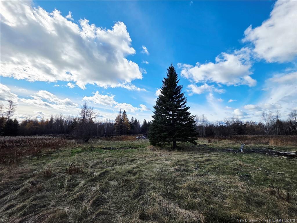 Lot West Side, Harcourt, NB