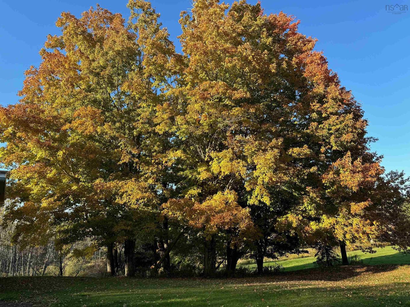 178 Linacy Road, Linacy, NS