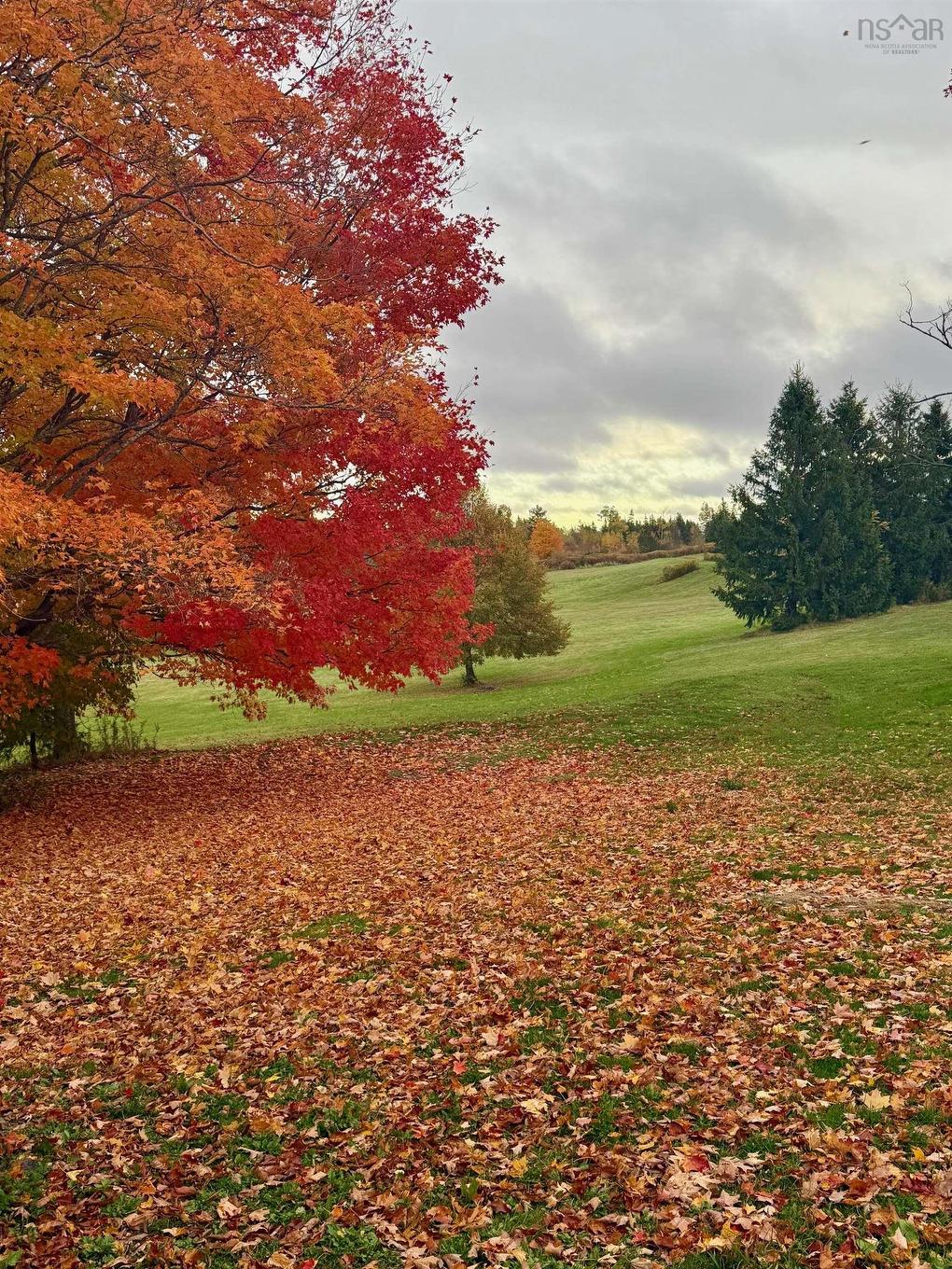 178 Linacy Road, Linacy, NS