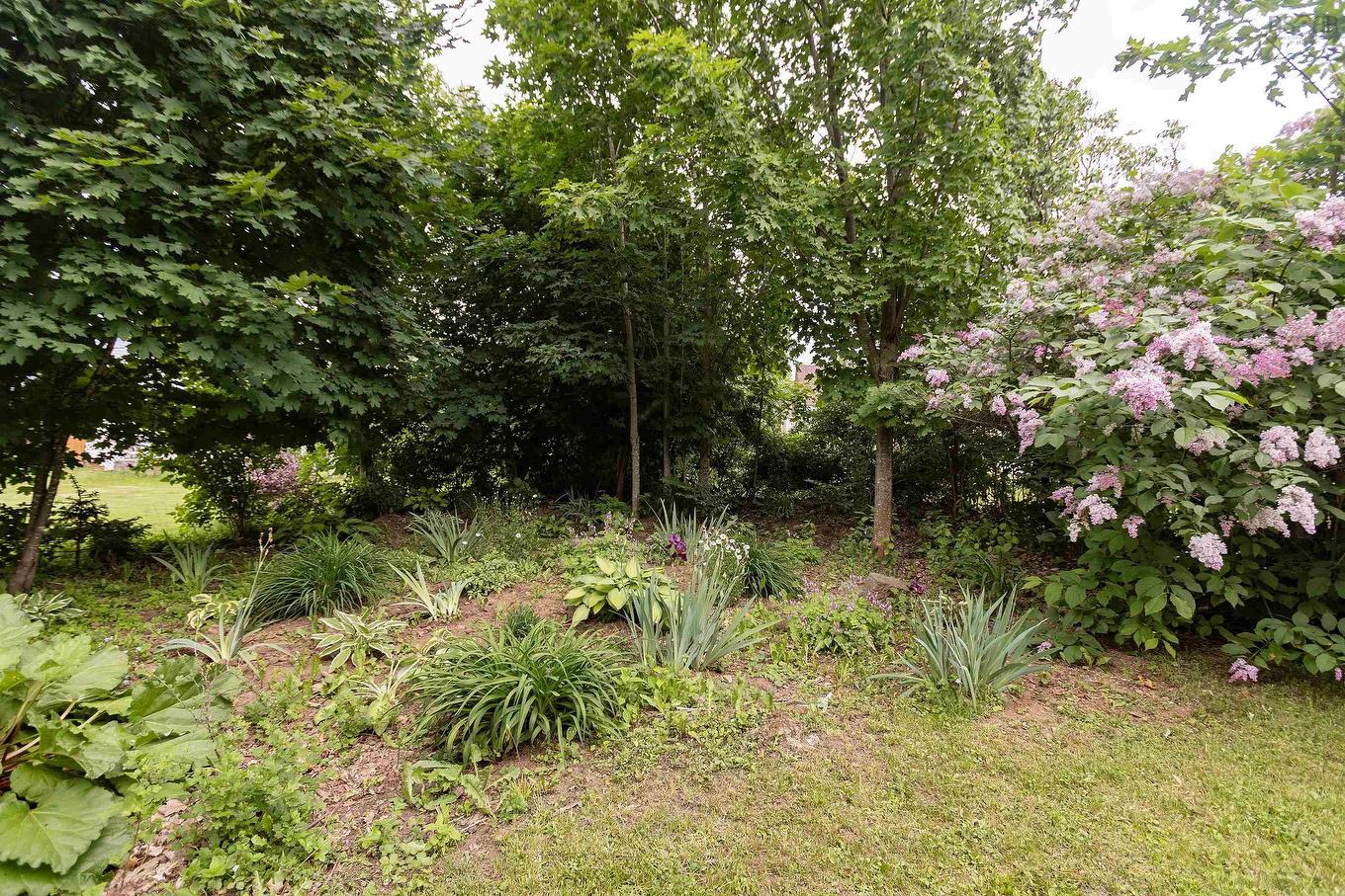 41 Prince William Street, Oxford, NS