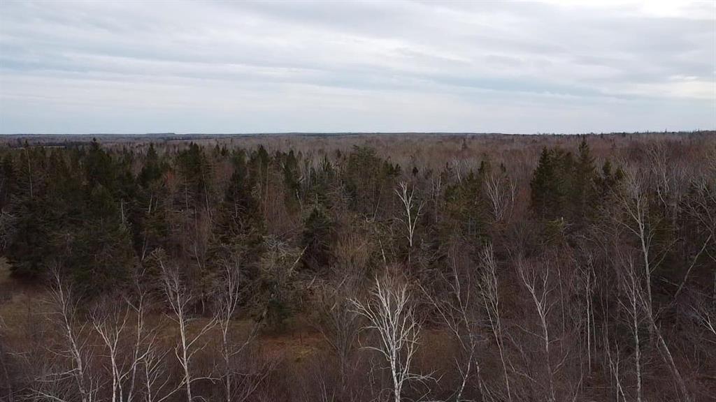 Acreage Peakes Road, Riverton, PE