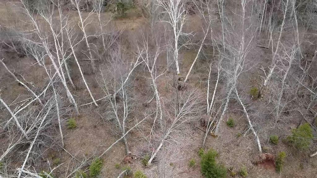 Acreage Peakes Road, Riverton, PE