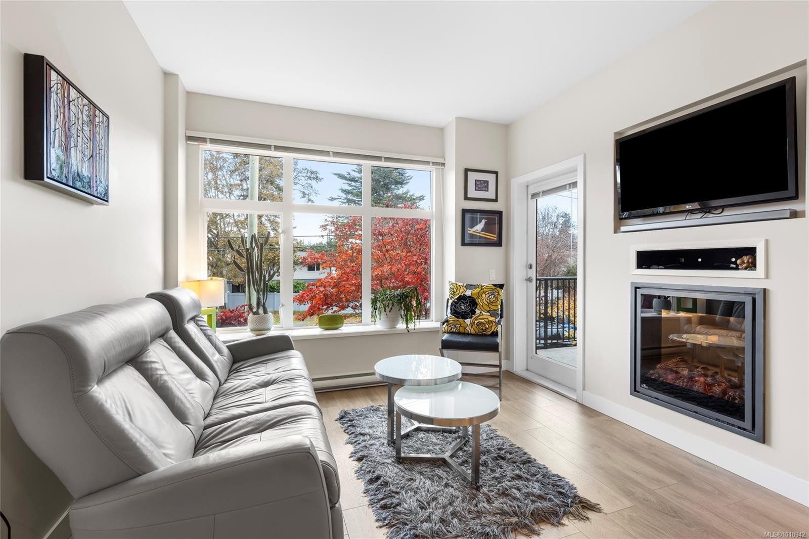 206-4040 Borden St, Saanich, BC - Indoor Photo Showing Living Room With Fireplace