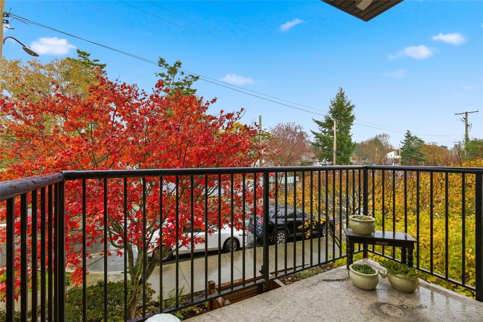 206-4040 Borden St, Saanich, BC - Outdoor