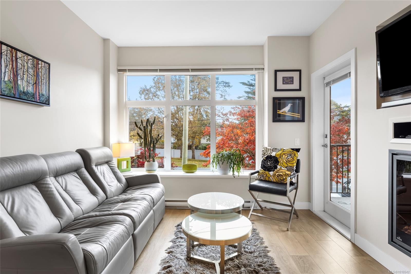 206-4040 Borden St, Saanich, BC - Indoor Photo Showing Living Room With Fireplace