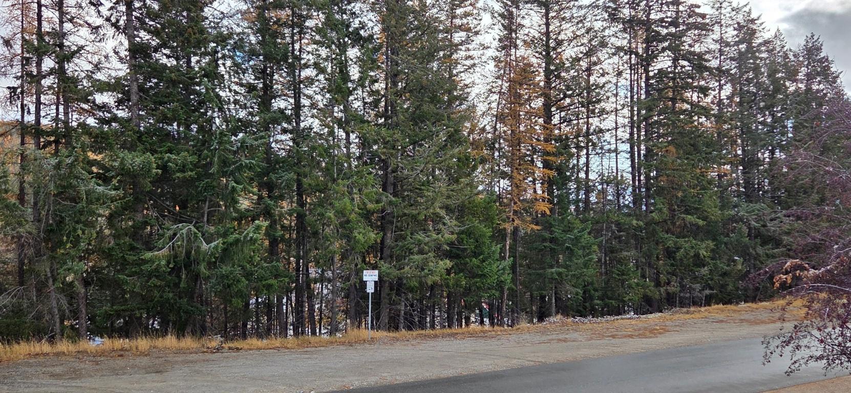 127 Swan Avenue, Kimberley, BC - Outdoor With View