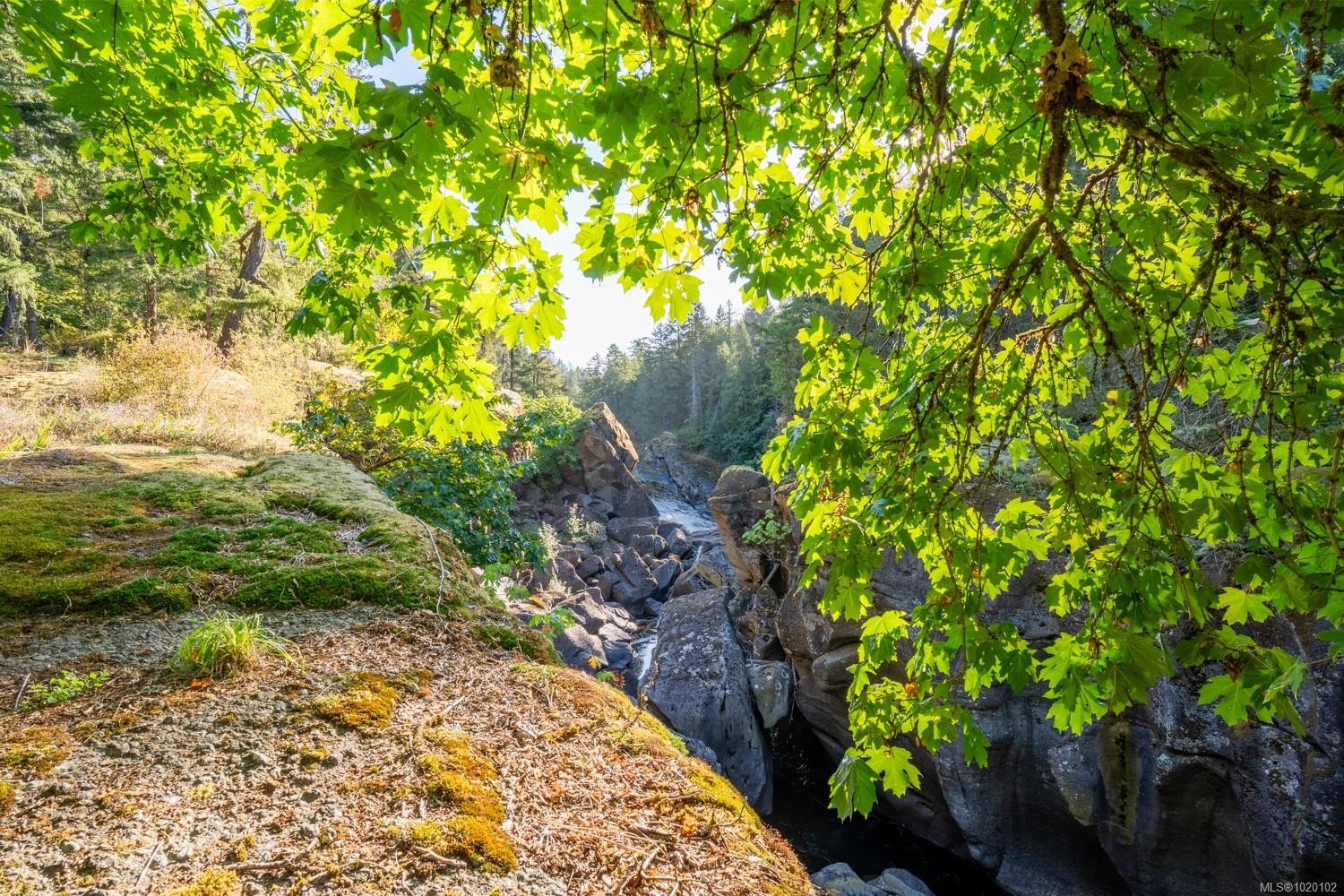 995 Nanaimo River Rd, Nanaimo, BC