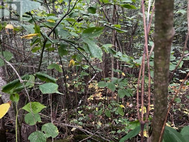 3 Shore Road, Saugeen Shores, ON