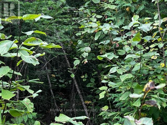 3 Shore Road, Saugeen Shores, ON