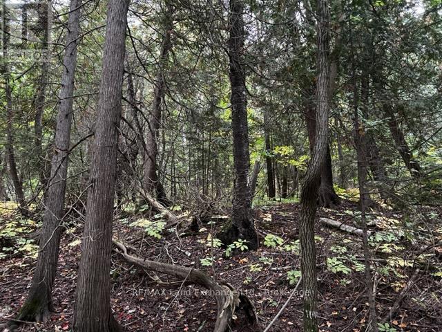 3 Shore Road, Saugeen Shores, ON