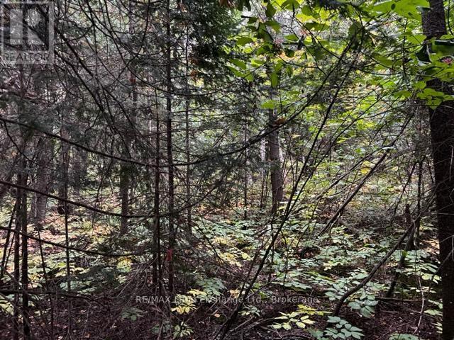 3 Shore Road, Saugeen Shores, ON