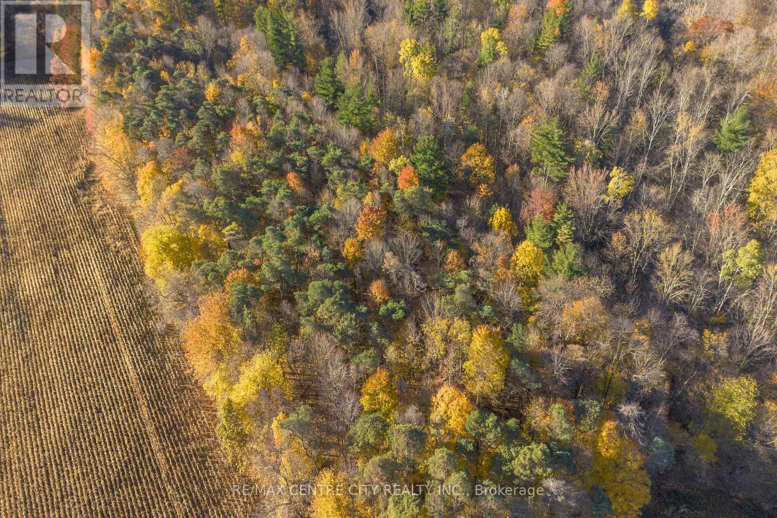 8916 Coyle Road, Bayham, ON