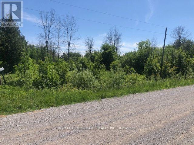 1630 Thorah Concession 9 Road, Brock, ON