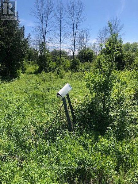 1630 Thorah Concession 9 Road, Brock, ON