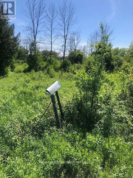 1630 Thorah Concession 9 Road, Brock, ON