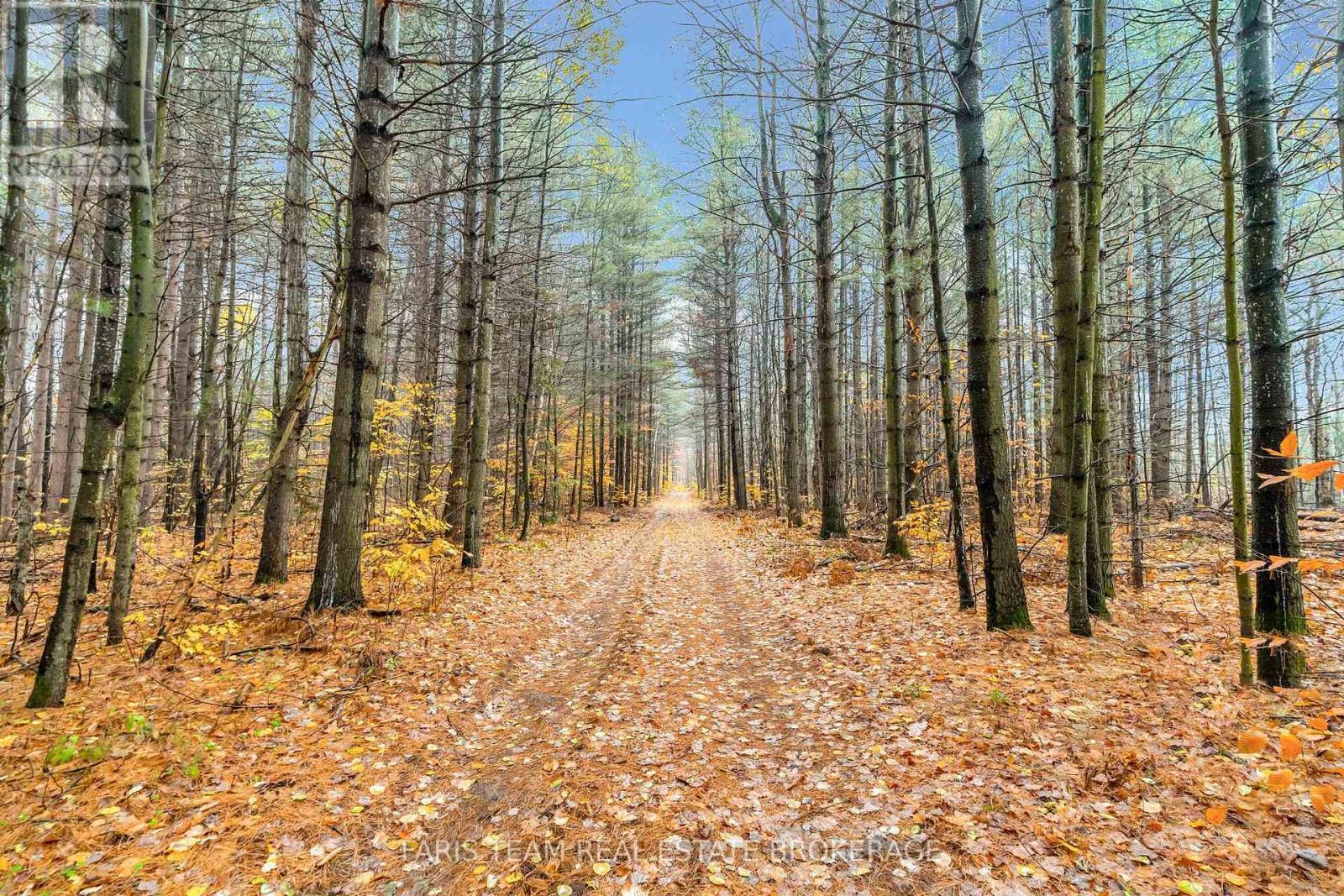 5992 Concession 2 Sunnidale, Clearview, ON