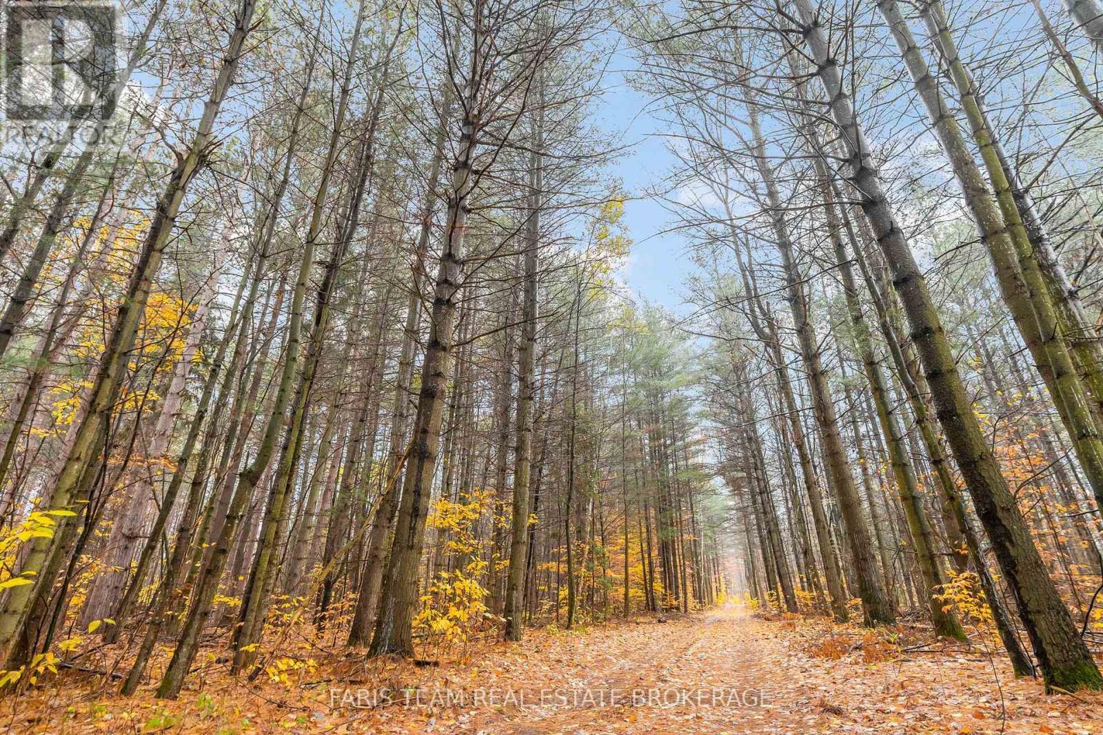 5992 Concession 2 Sunnidale, Clearview, ON