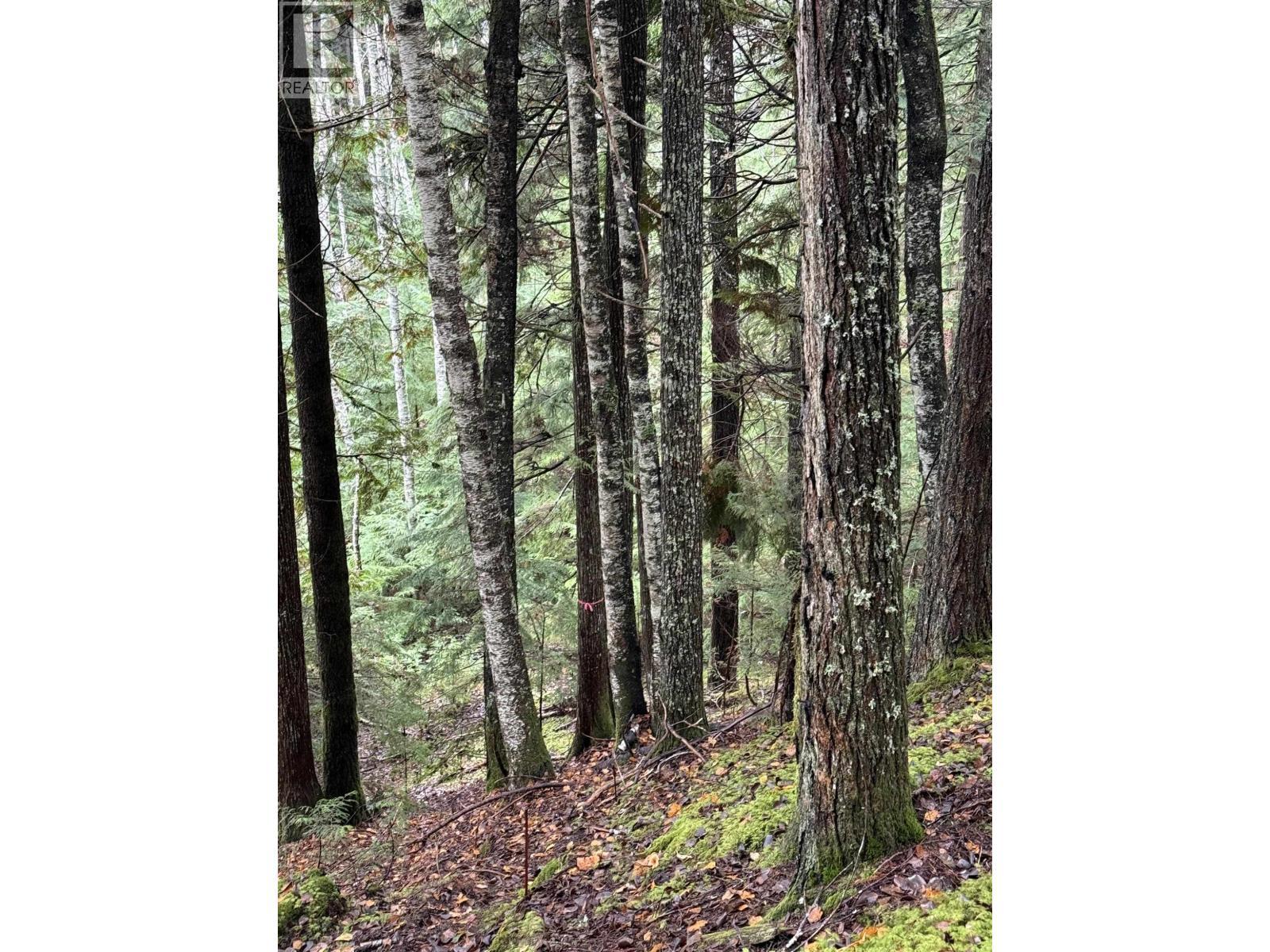 16398 16 Highway, Terrace, BC