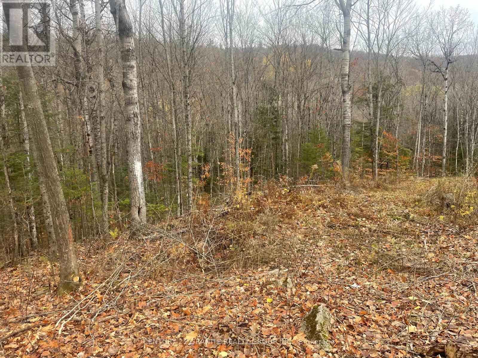 0 Snow Road, Bancroft (Bancroft Ward), ON