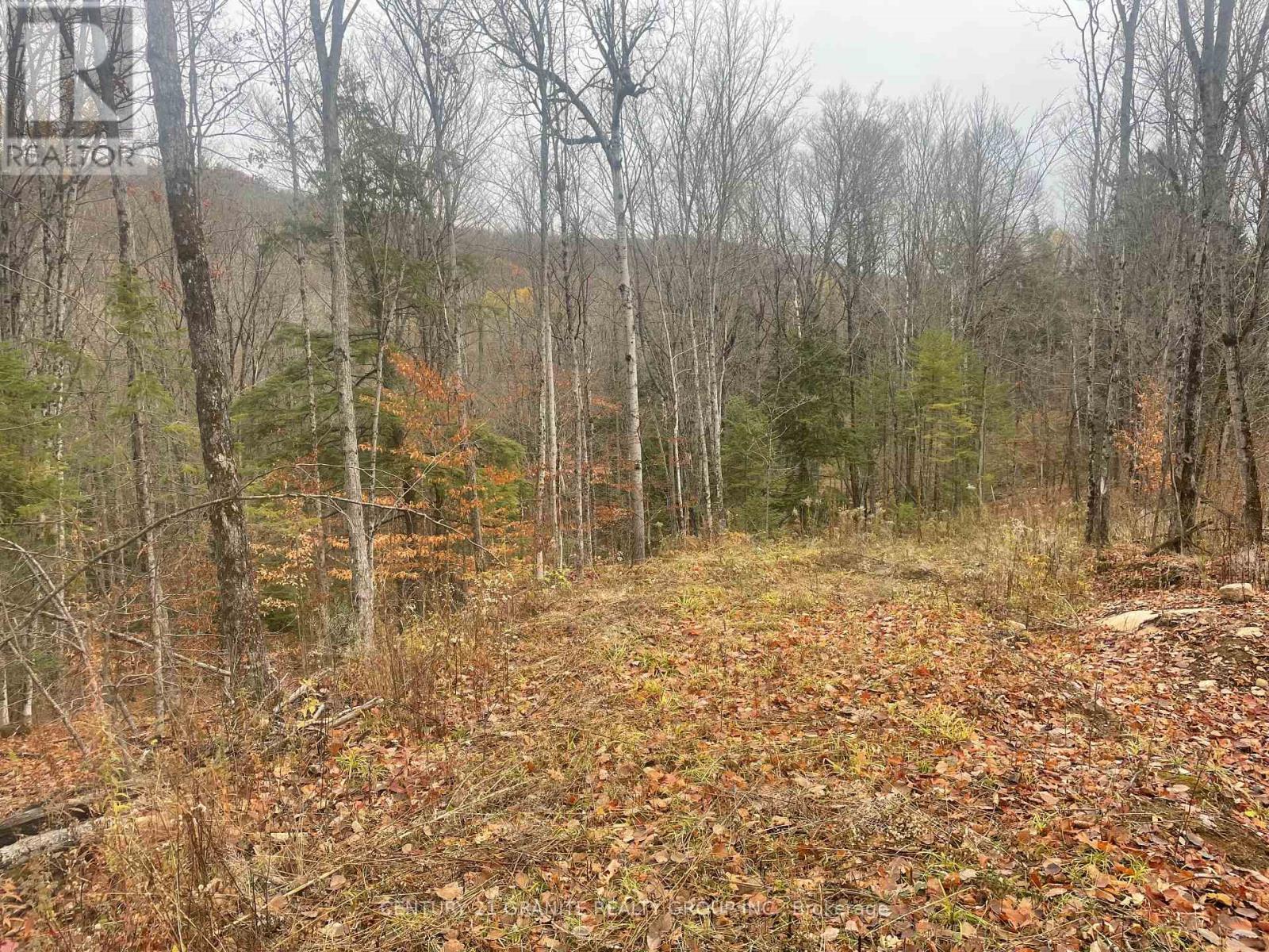 0 Snow Road, Bancroft (Bancroft Ward), ON