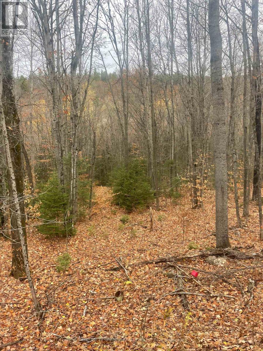 0 Snow Road, Bancroft (Bancroft Ward), ON